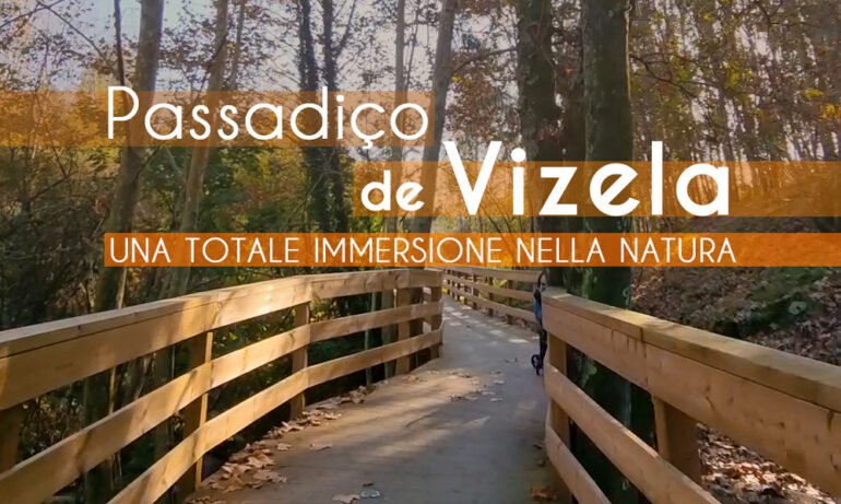 passadico-nel-nord-del-portogallo
