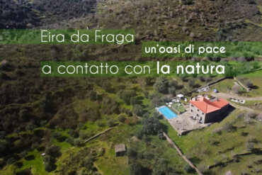 alloggio-nella-natura-nel-nord-del-portogallo-copertina